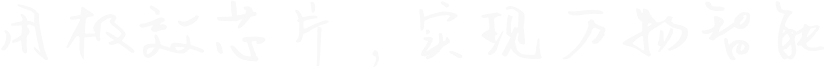 用极效芯片,实现万物智能